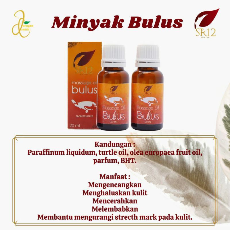 Minyak Bulus