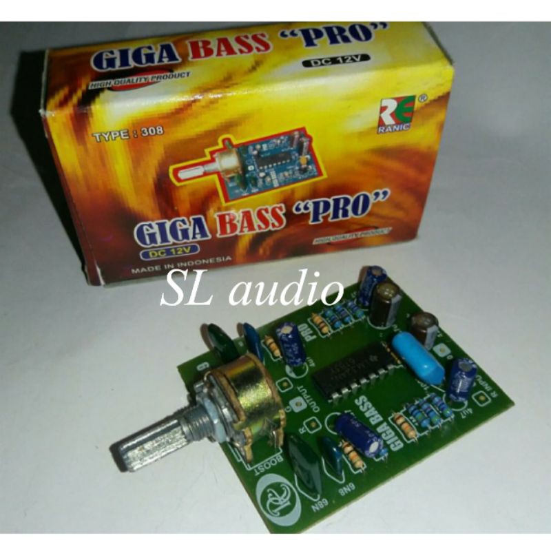 Kit Giga Bass Pro Ranic 308