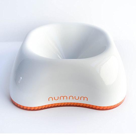 Numnum Beginner Bowl