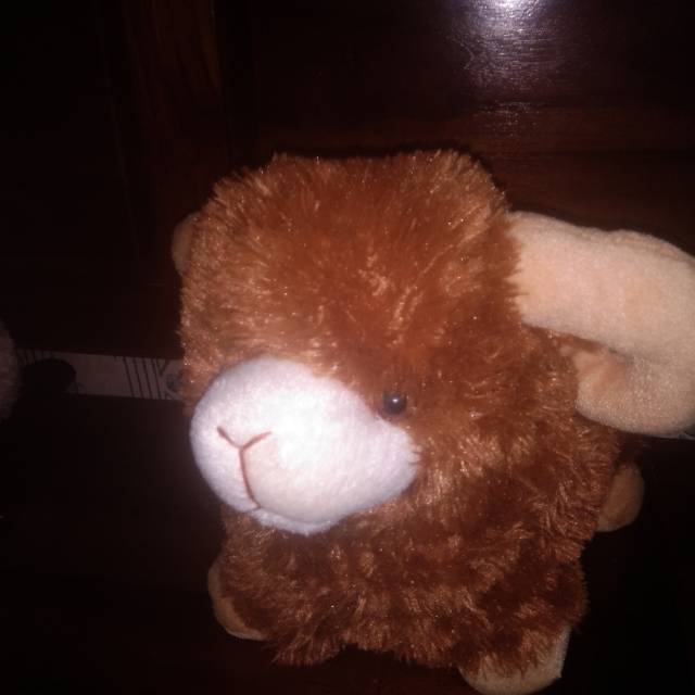 BONEKA DOMBA SNI