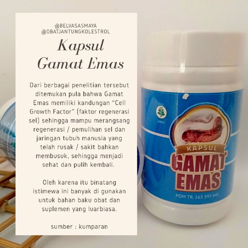 kapsul gamat emas, sudah bpom