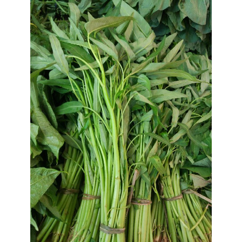 Daun Kangkung per 3 ikat