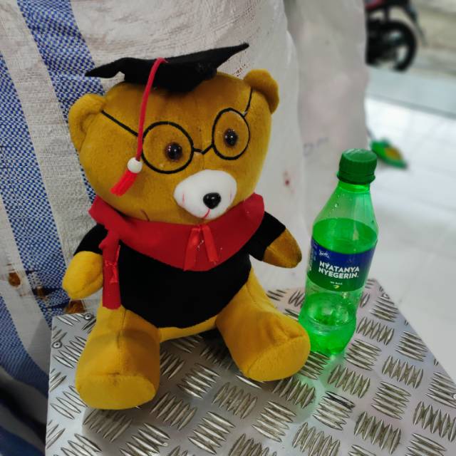 Boneka wisuda/boneka buket/bear wisuda