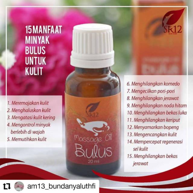 Minyak bulus SR12