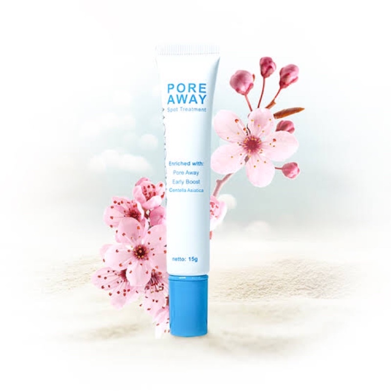 Pore Away Spot Treatment