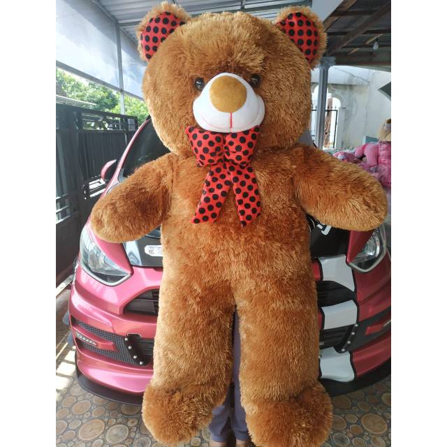 Beruang jumbo coklat