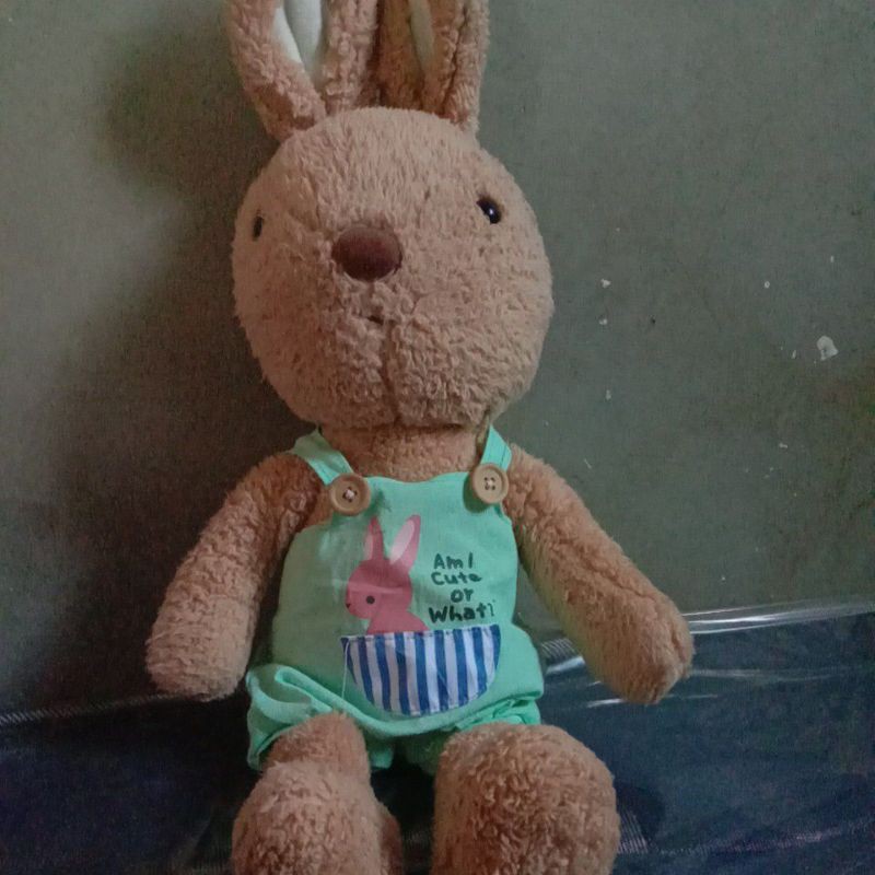 kelinci coklat