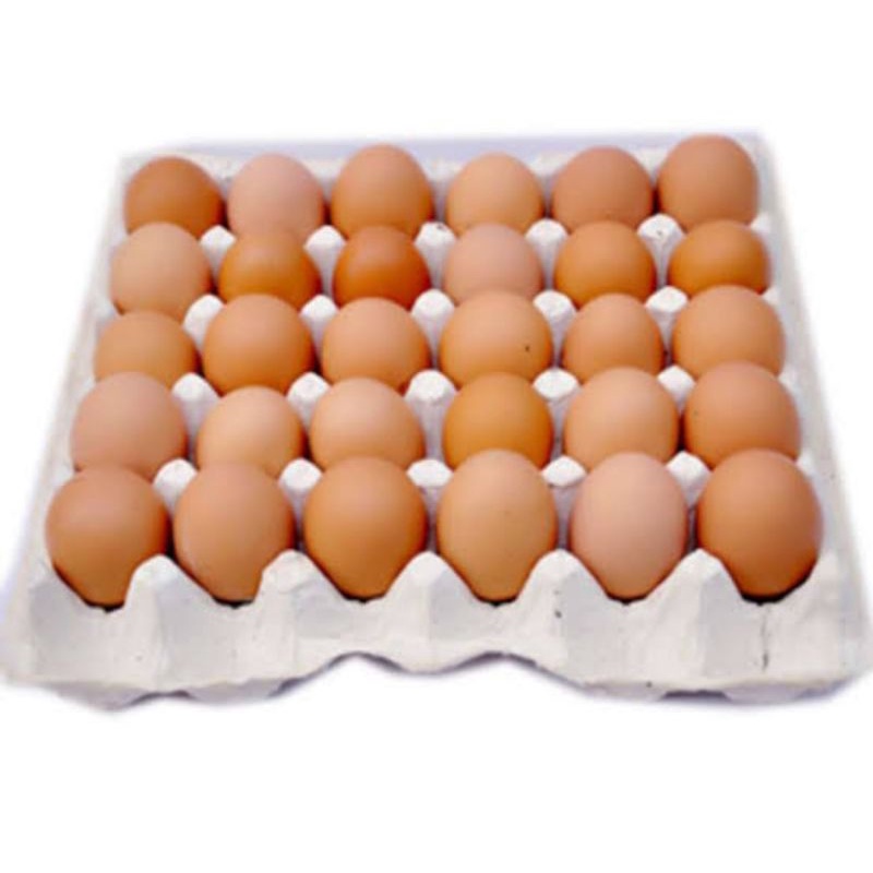 telur ayam per butir