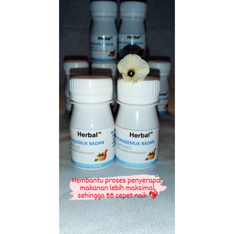 Penggemuk Badan cepat