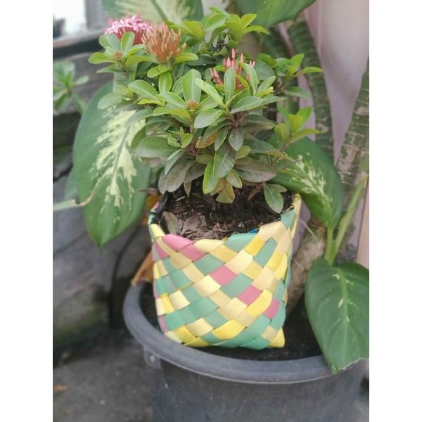 Pot Bunga Plastik Kerajinan Tangan