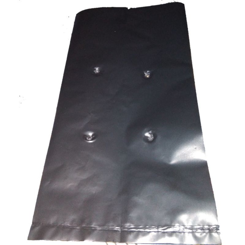 Polybag 15 × 30