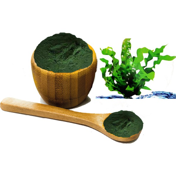 Kapsul Spirulina Murni 2000 pcs