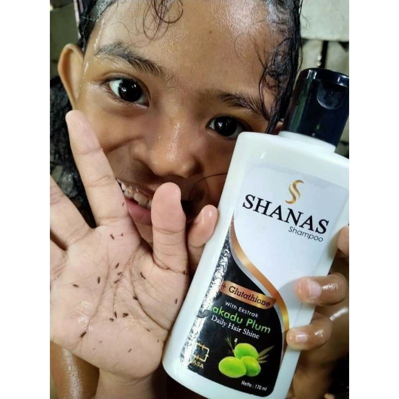 shampo anti kutu