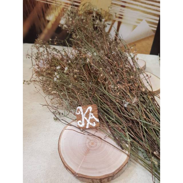 Rustic Dried Vernonia