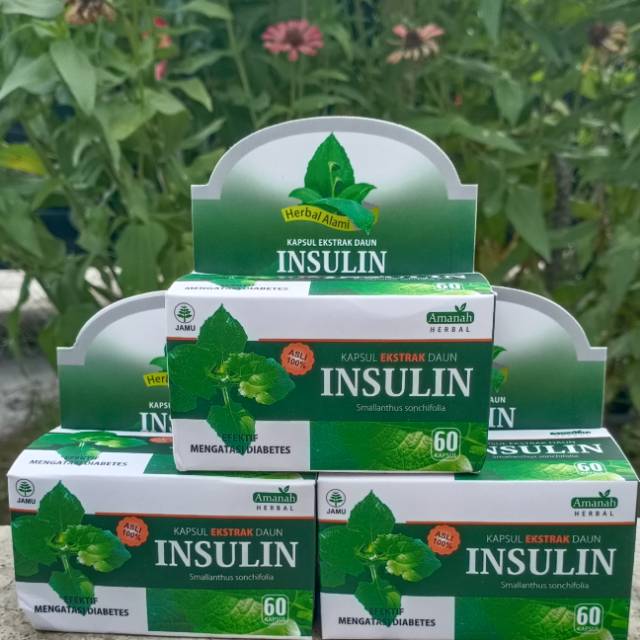 Kapsul ekstrak daun insulin