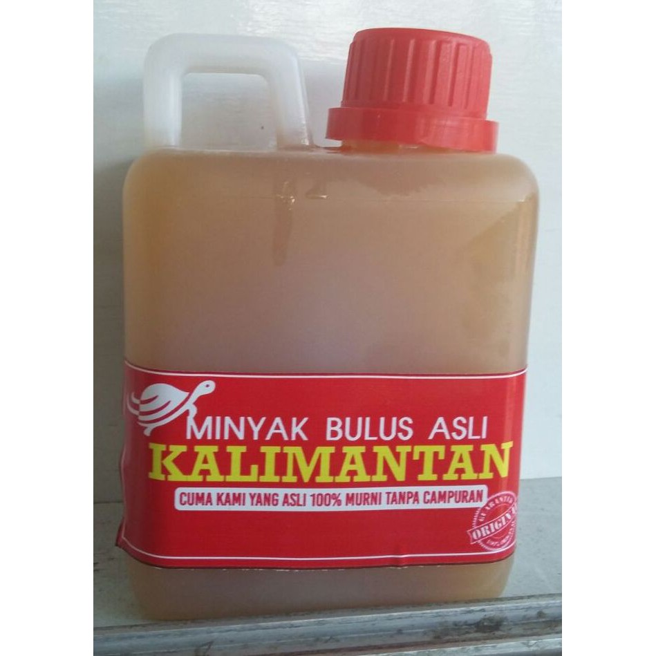 Minyak Bulus Asli 500 ml