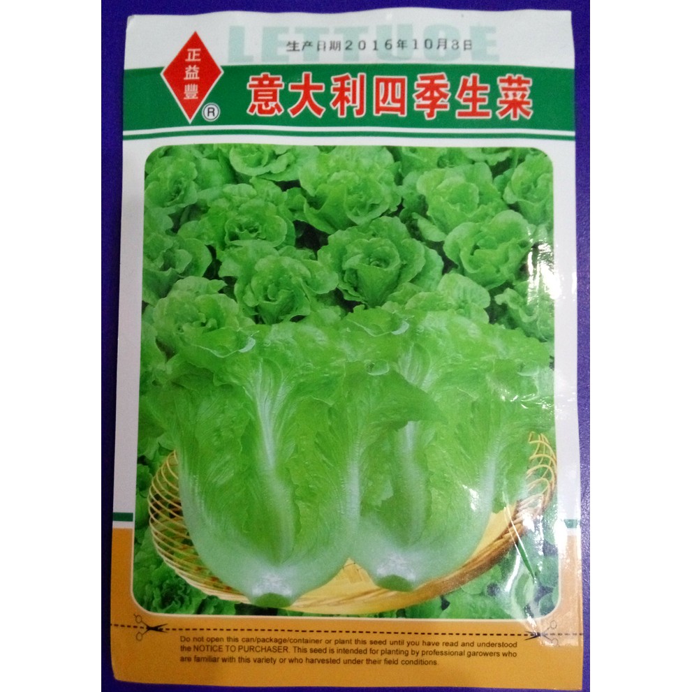 Langsung Order benih lettuce import isi +50 repacking Diskon
