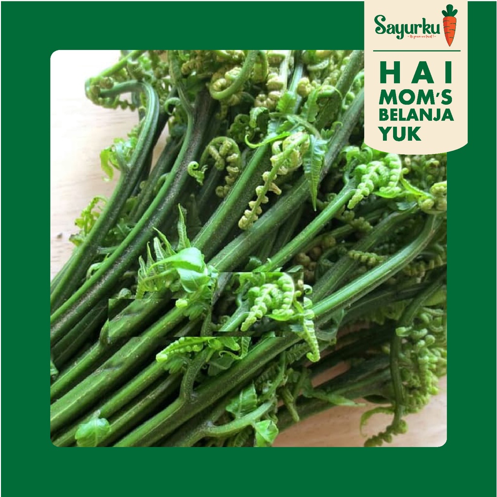 sayur pakis per ikat