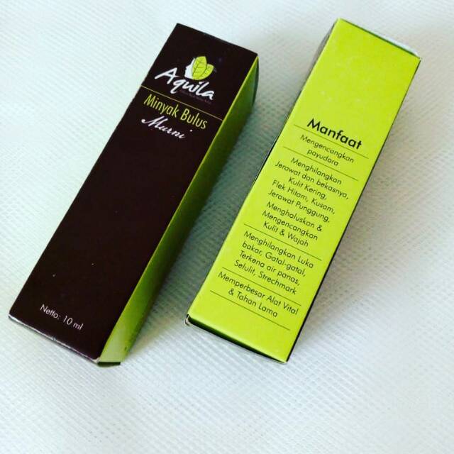 Minyak bulus Aquila
