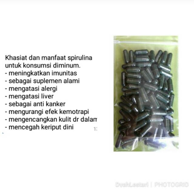 Masker spirulina