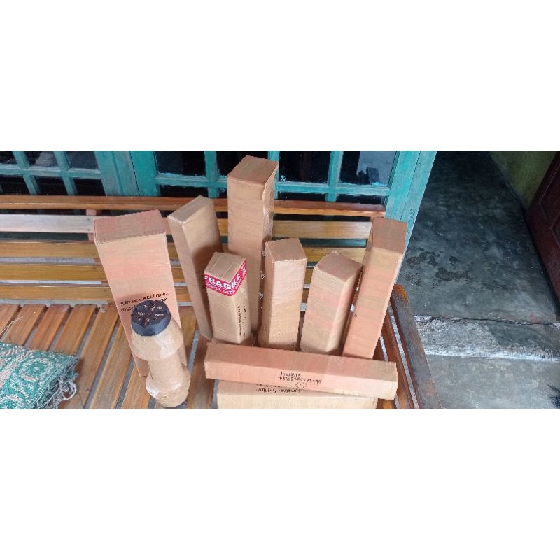 aglonema lokal  100