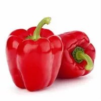 paprika merah 250gr