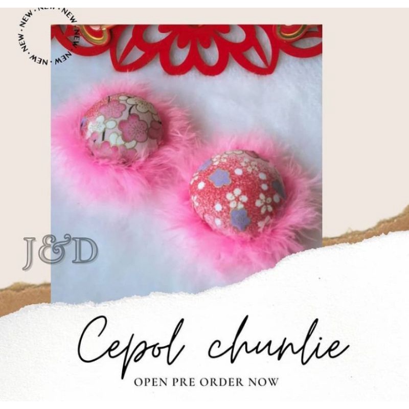 jepit rambut/cepol chunlie
