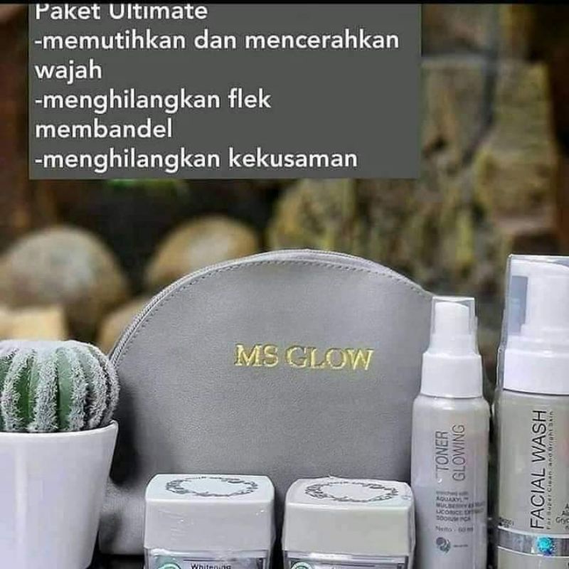 paket cream msglow