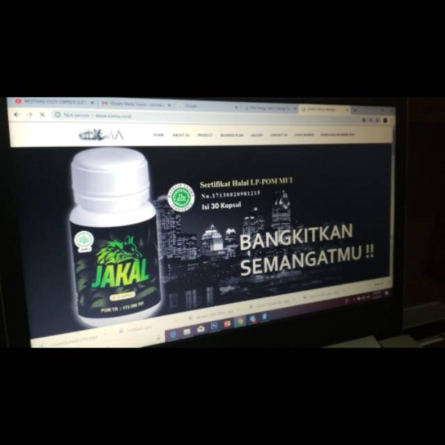 JAKAL