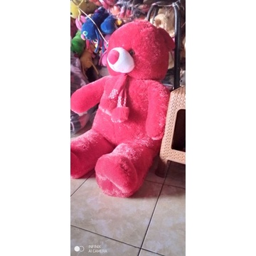 boneka tedy beardsyal ukuran jumbo