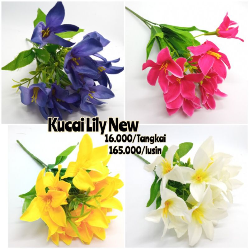 bunga kucai lily