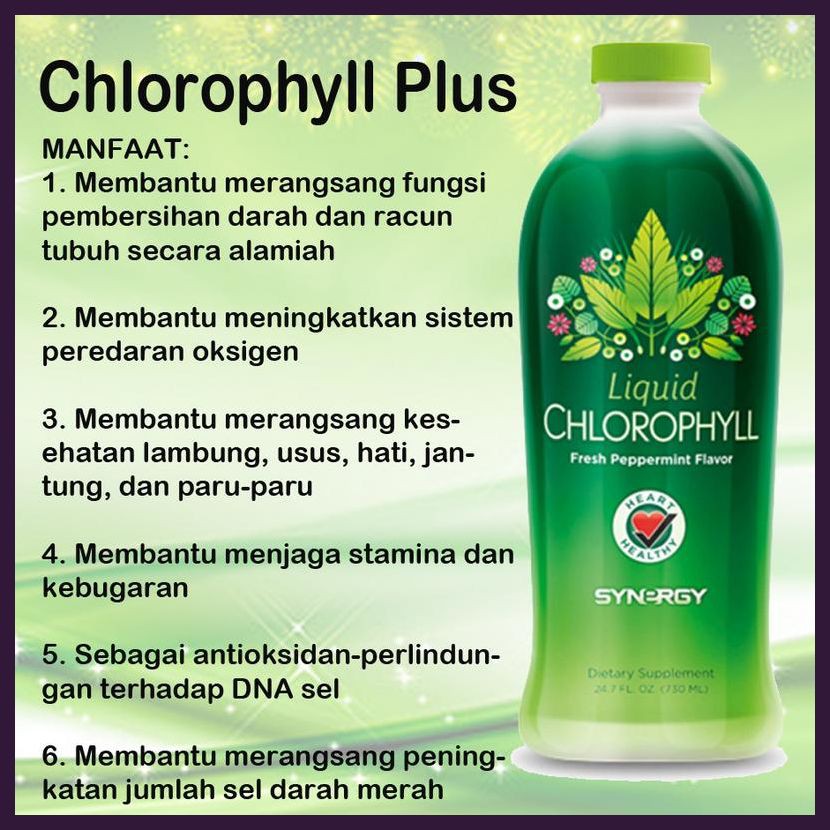 Maxi Pack Herbal Vertigo - Klorofil + Colostrum