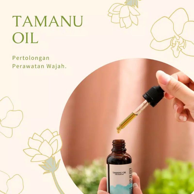 Tamanu Oil