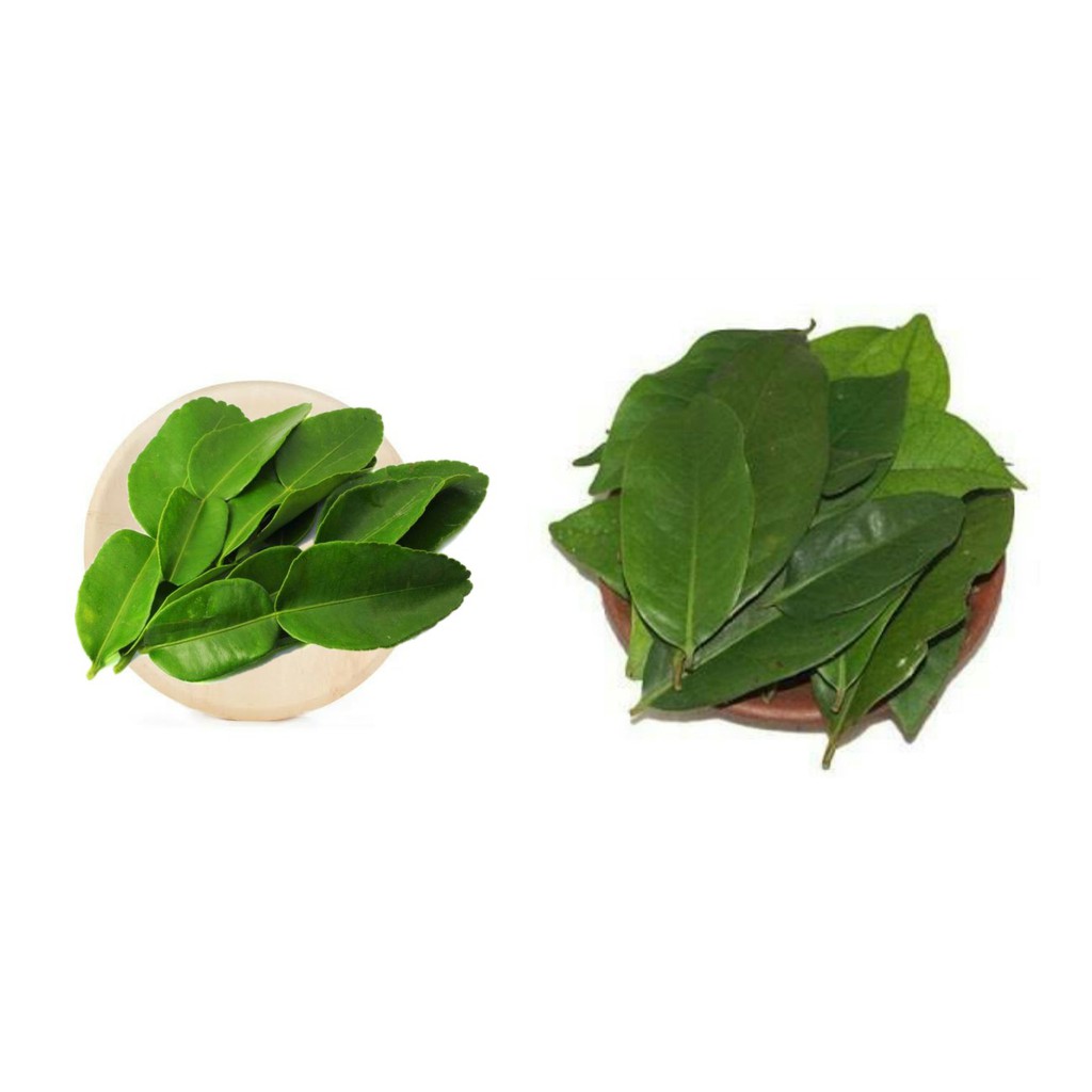 Daun Jeruk dan Daun Salam Pack