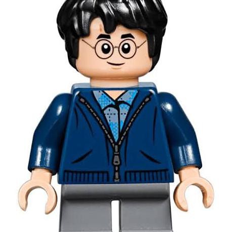 Lego Harry Potter Casual