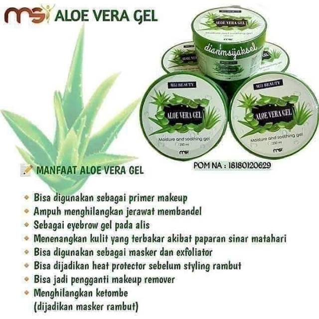 MSI ALOE VERA GEL