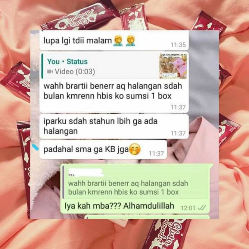 Gluta Allamanda