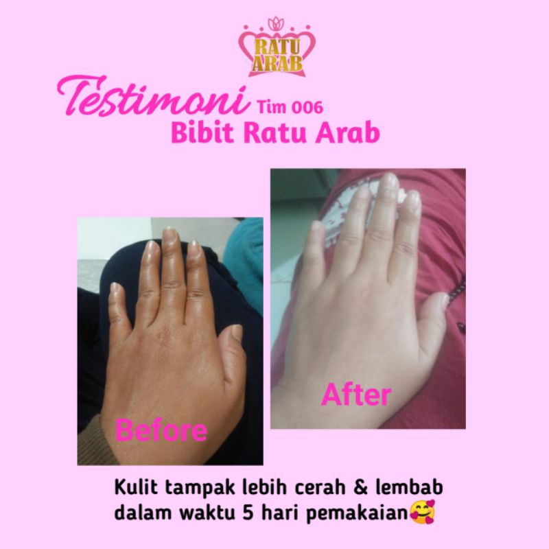 Bibit Ratu Arab 250gr