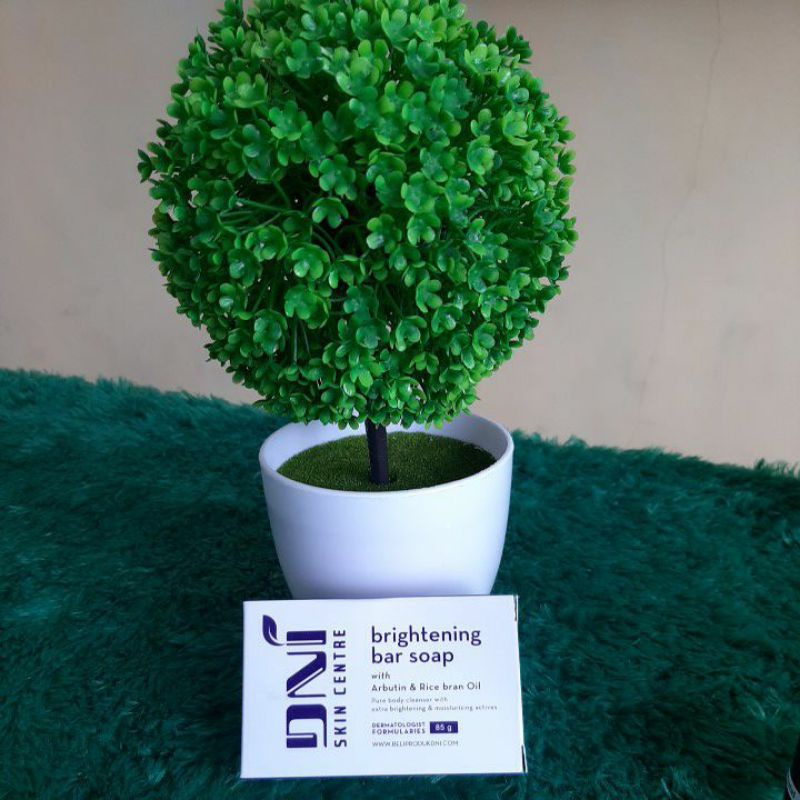DNI BRIGHTENING BAR SOAP