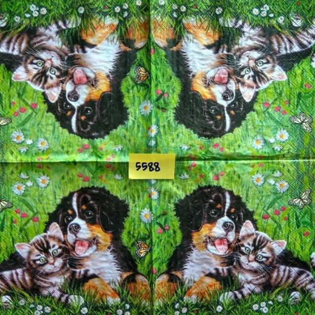Napkin Decoupage 5588
