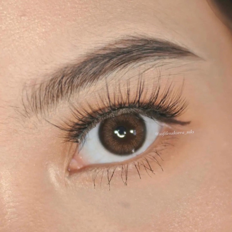 Softlenskorea chocobrown