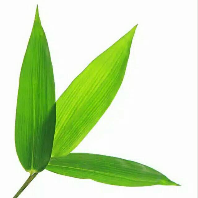 DAUN BAMBU SEGAR[ZRZX TY]