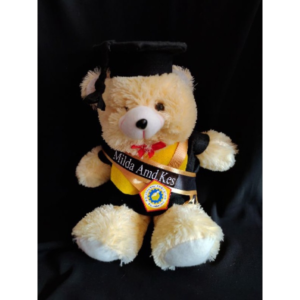 Boneka Wisuda Bear