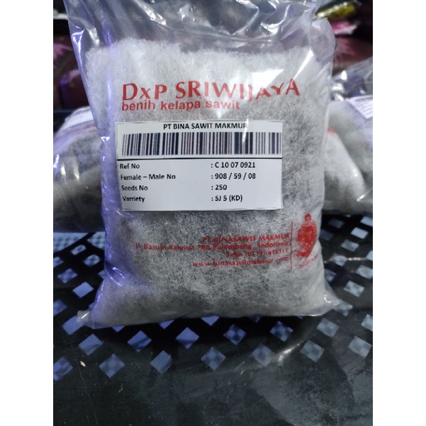 dxp sriwijaya