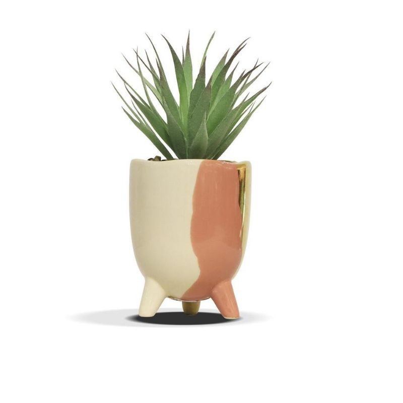 Vivere cactus artificial