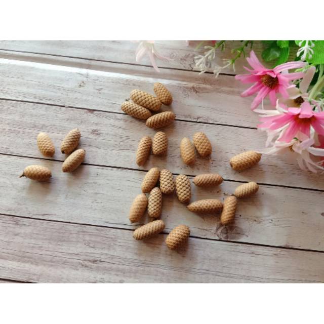 Biji Rotan lonjong 10 pcs