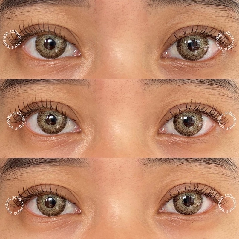 U - Matake brown