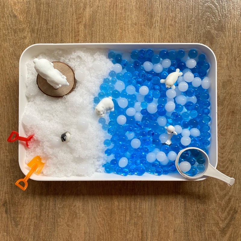 The Arctic Sensory Bin
