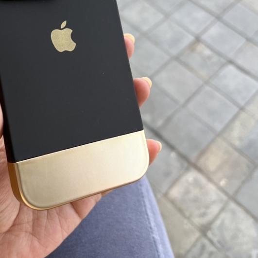 Golden Frame Case
