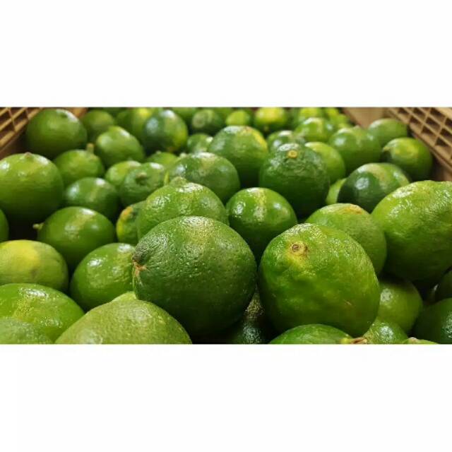 Jeruk Nipis 1 kg